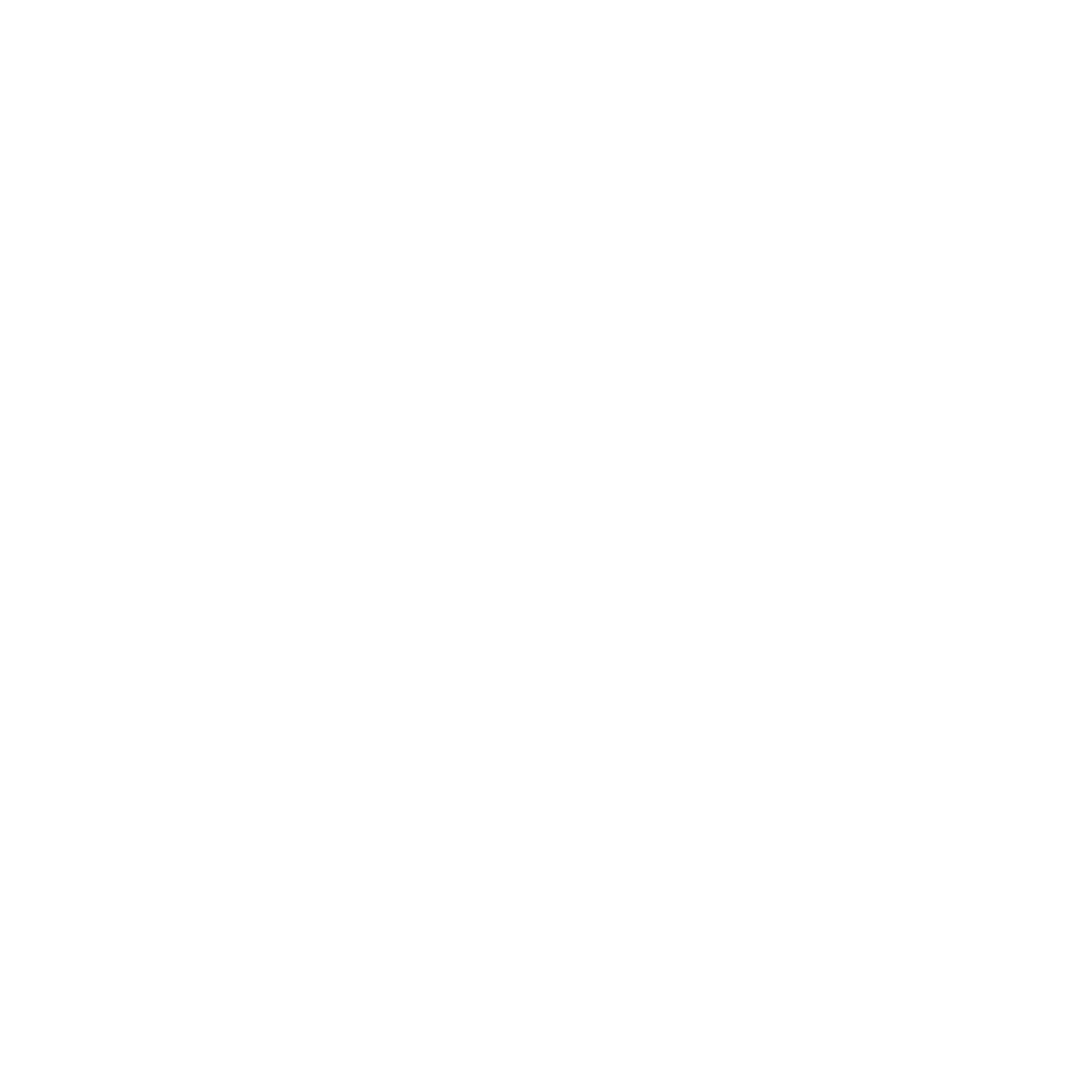 Debitage Pro
